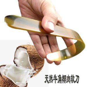 海南紅椰子肉