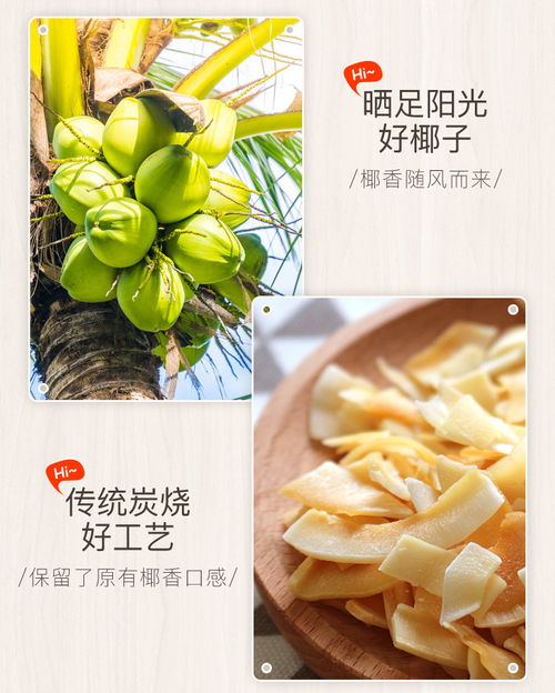 海南特產 南國食品椰子片 香脆椰子片60gx2 炭烤椰片 福卡商城